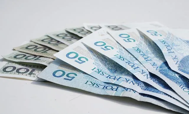 Co to pożyczka i jakie są rodzaje?